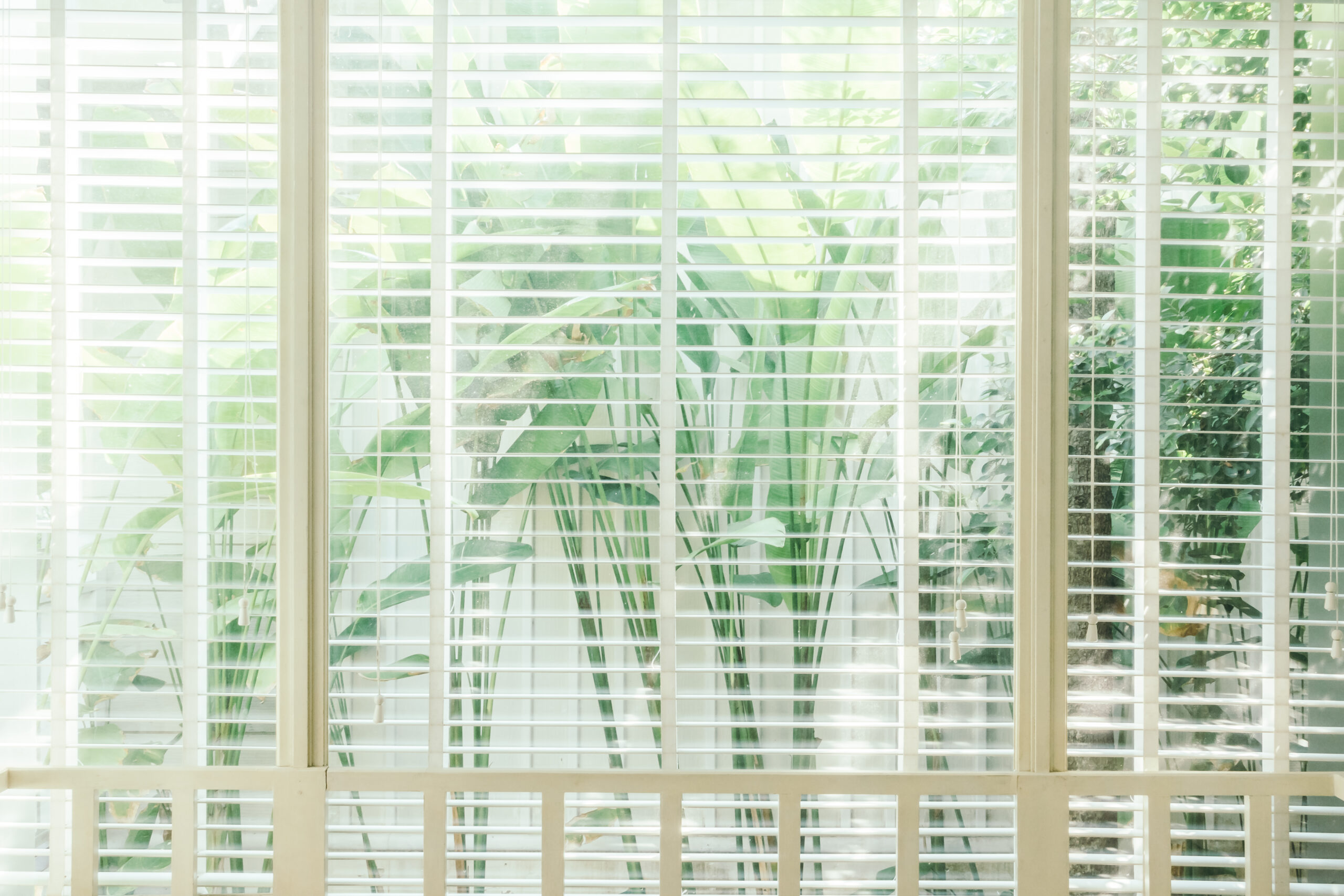 venetian blinds